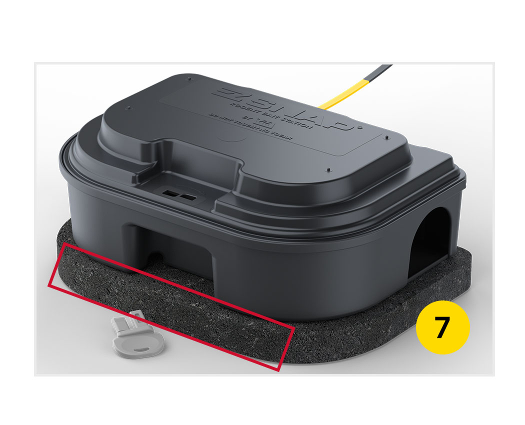 Pro Tips on Rodent Station Placement - VM Products