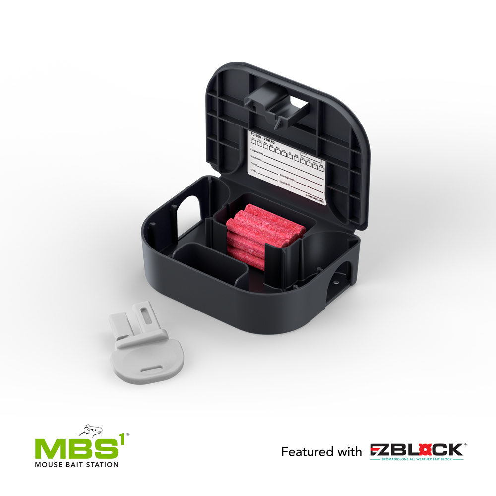 Best Mice Bait Station