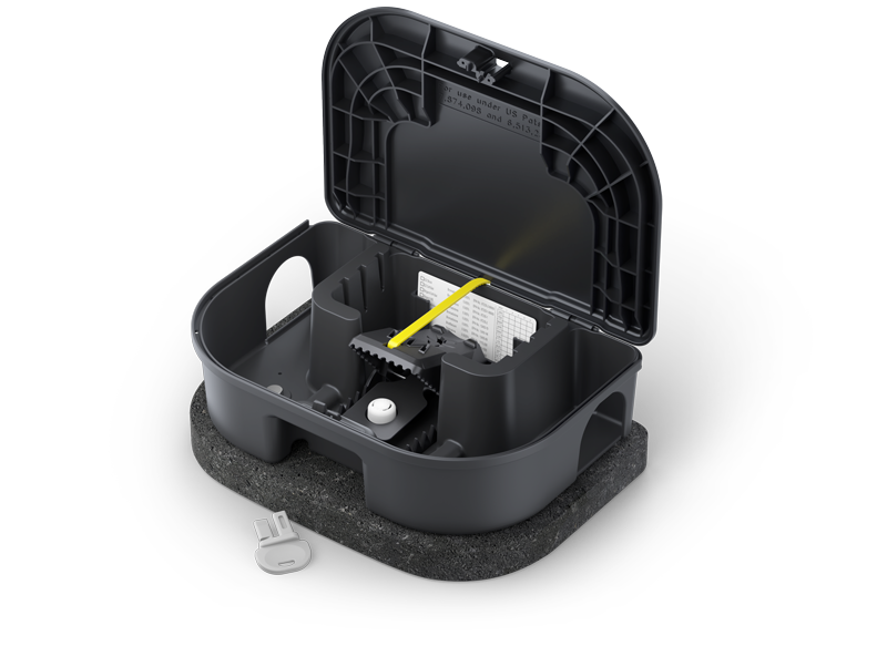 EZ Secure Viper Angle Open