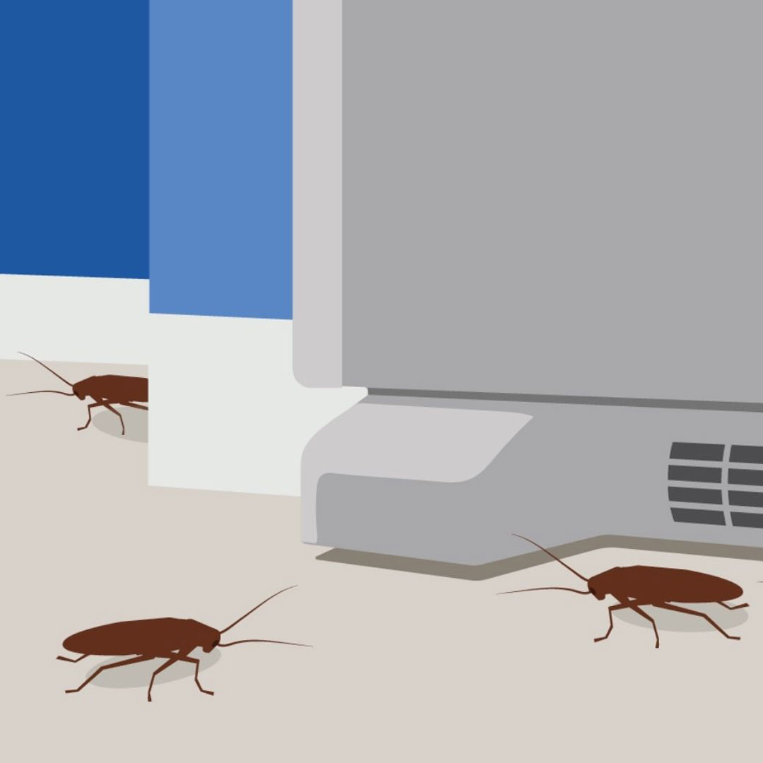 7 Tips on Insect Monitoring