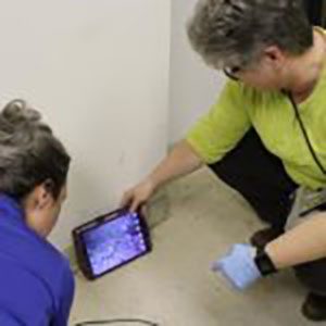 Rodent_Academy_Blog_10 Rodent_Academy_Blog_10